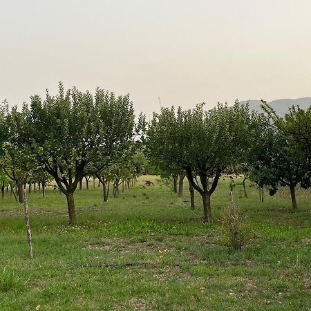 Villa Maria Caterina Paterno  Bagian luar foto