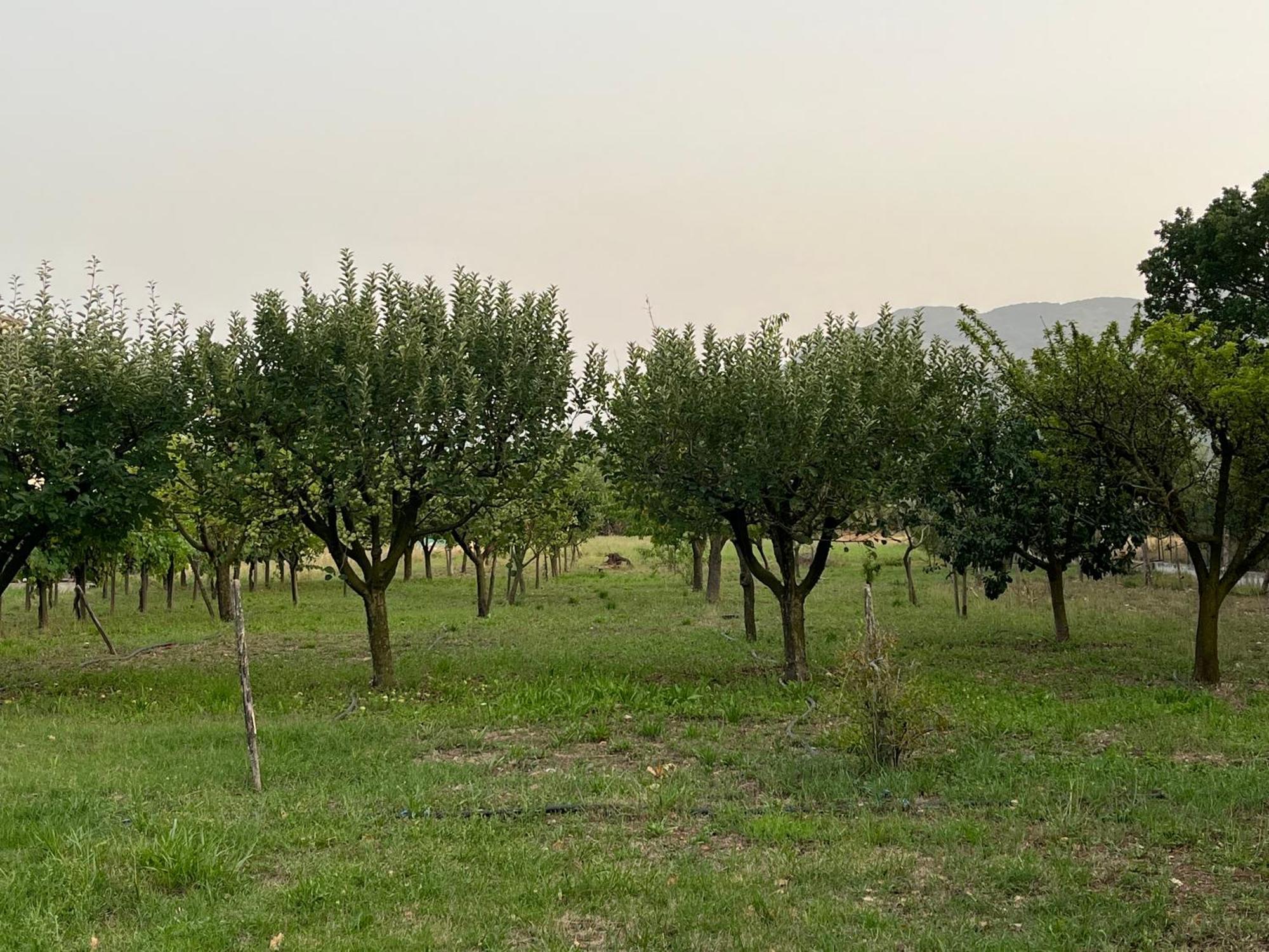 Villa Maria Caterina Paterno  Bagian luar foto